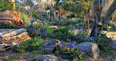 Build Yourself An Attractive Rock Garden For Your Landscape Anyone Would Be Proud Of (DIY)