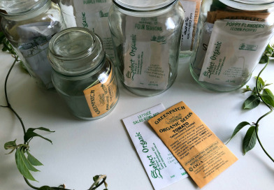 Easy Instructions On How To Plant And Grow Herbs Using Seed Packets From The Nursery Featured Gardening Blog Image