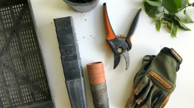 This Is How You Repair And Properly Take Of Your Gardening Tools