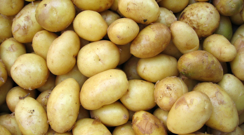 Three Tips To Help You Properly Grow Great Tasting Potatoes In Your Veggie Garden Featured Gardening Blog Image